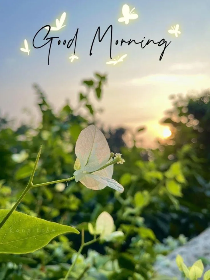 Wallpaper of Good Morning Bird on Branch with Sky Background