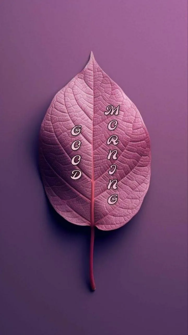 Wallpaper of Good Morning Pink Leaf on Purple Background