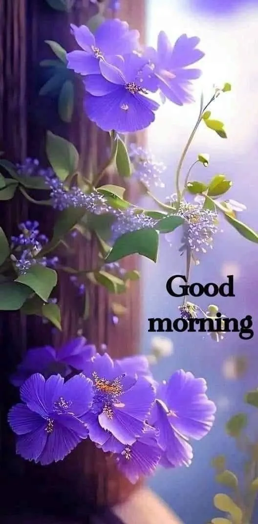 Wallpaper of Good Morning Purple Flower and Blue Background