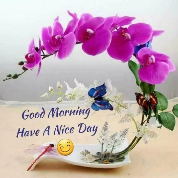 Wallpaper of Good Morning Purple Orchid Flower Image