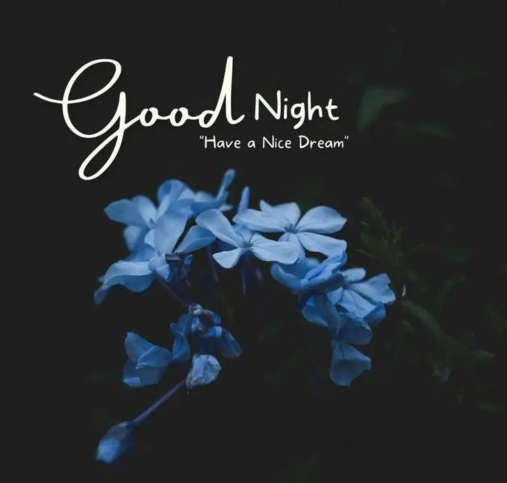 Wallpaper of Good Night with Blue Flowers on Black Background