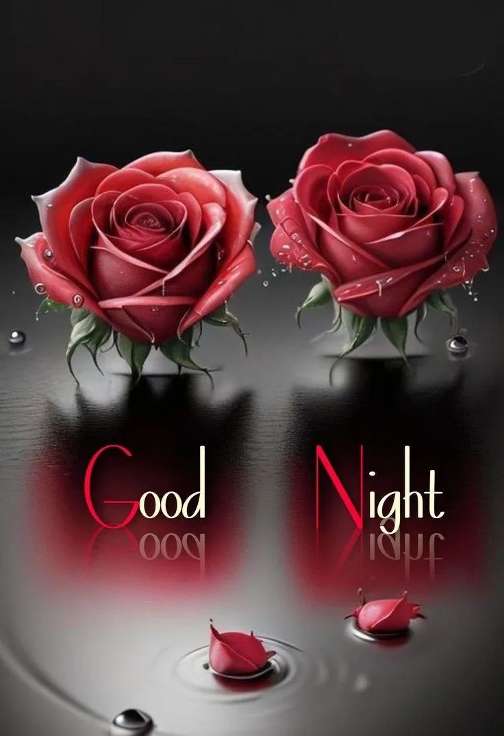 Wallpaper of Good Night with Red Rose and Black Background
