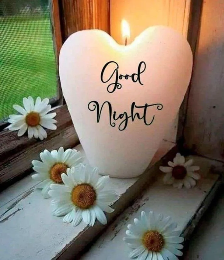 Warm Good Night Wishes on Cozy Evening with Tea Cup