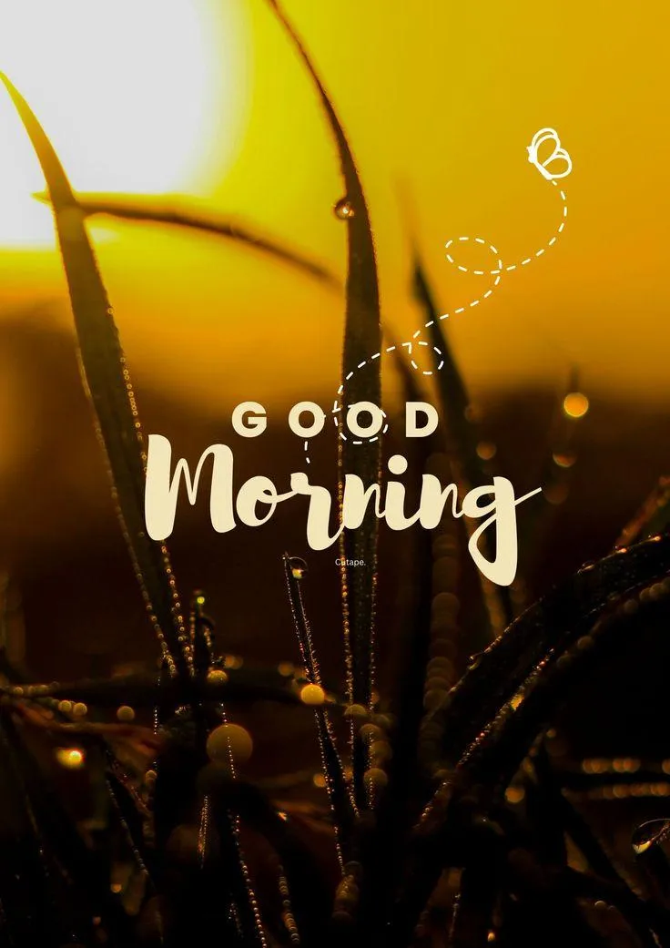 Warm Lights and Wood Tones Create a Cozy Morning Mood