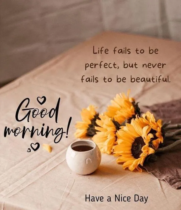 Welcome the New Day with Gratitude and Warmth Free Image