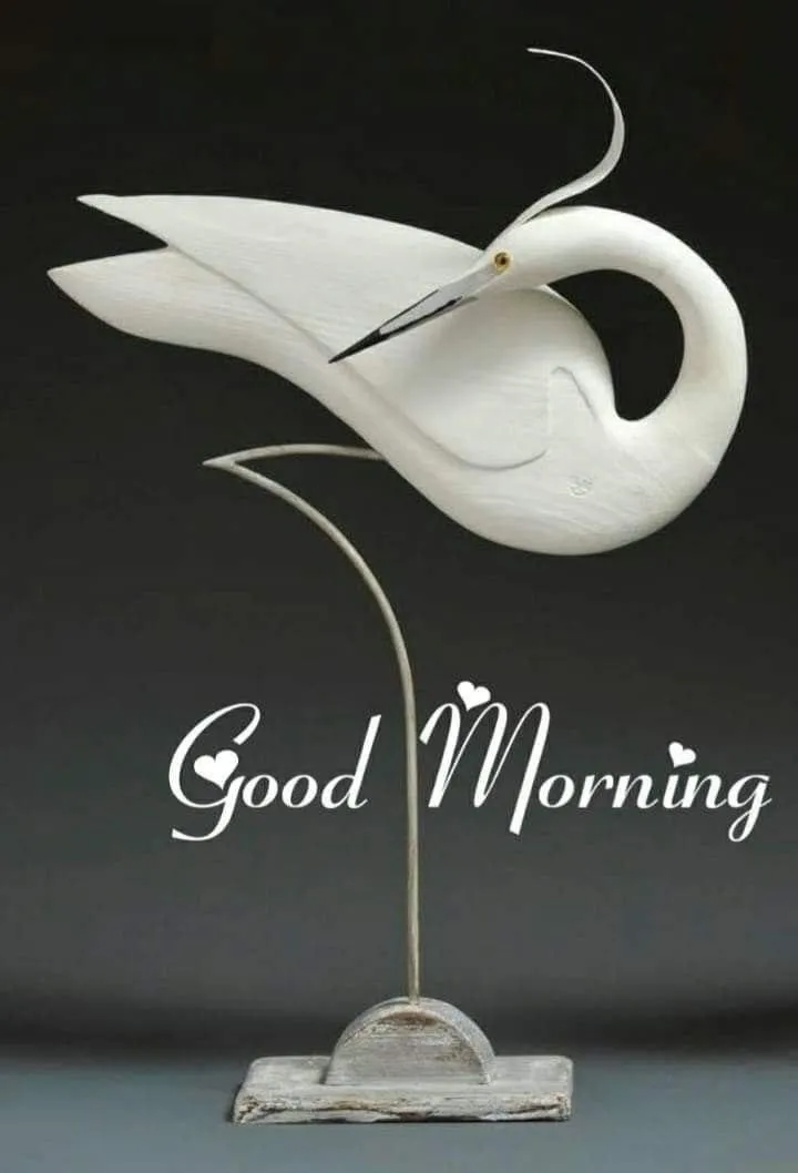 White Bird and Good Morning Text on Black Background