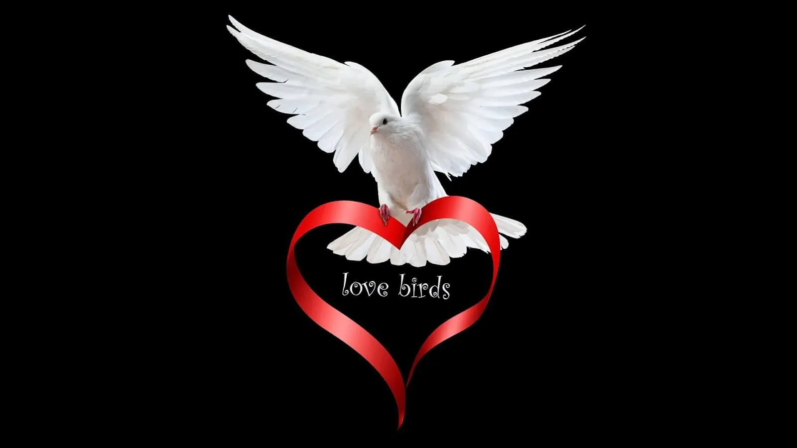 White Dove and Heart Expressing Pure True Love Wallpaper