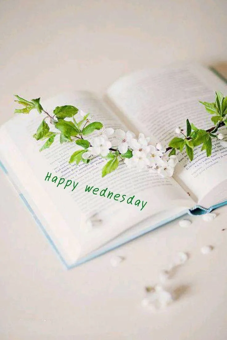 White Floral Paper Design with Subtle Morning Wishes