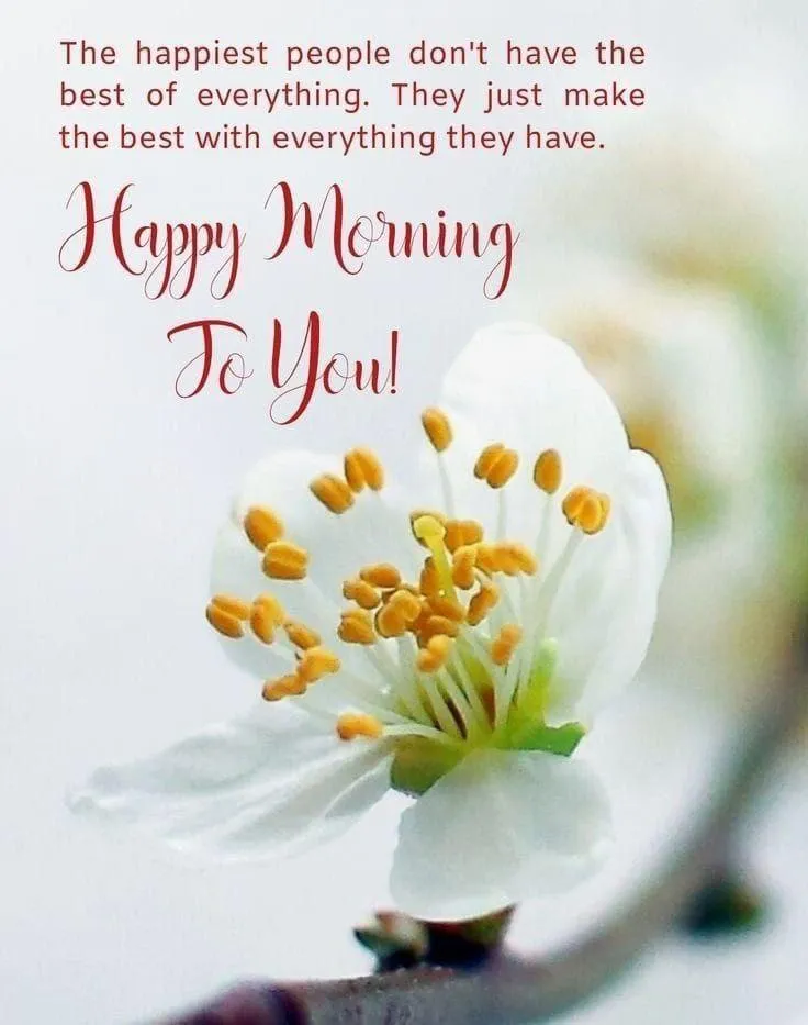 White Flowers and Blue Soft Floral Message Wallpaper