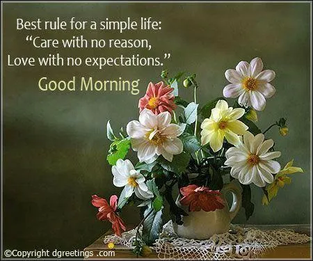 White Flowers in Vase for a Calm and Serene Morning