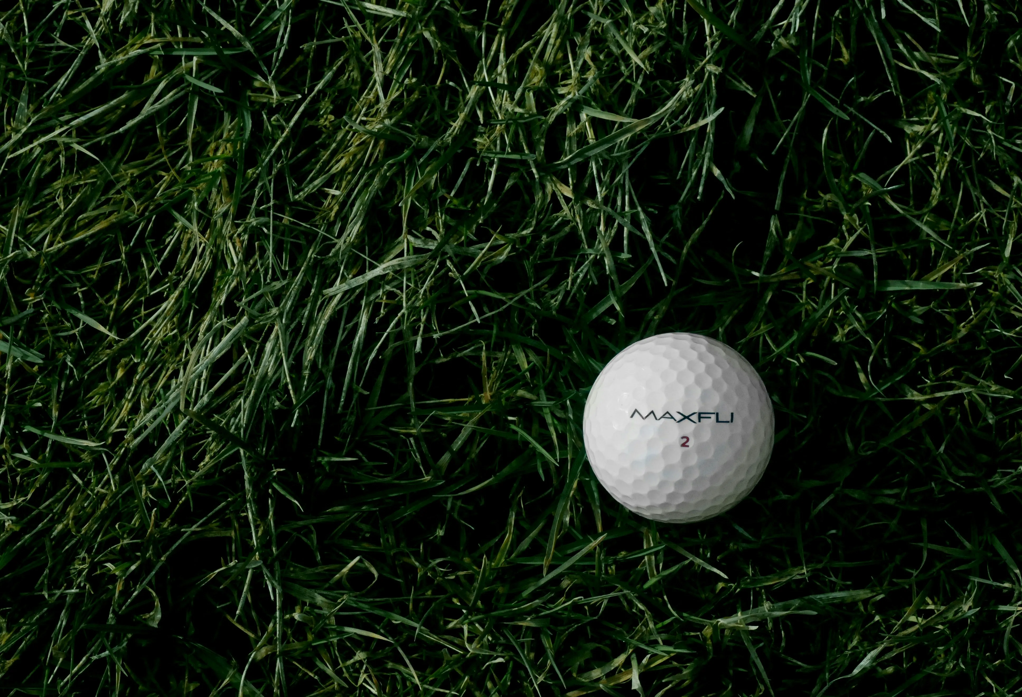 White Golf Ball Resting on Fresh Green Grass Wallpaper