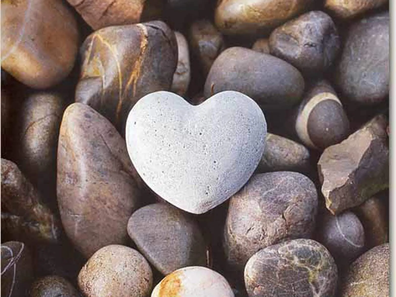 White Heart on Stones Symbolizing Peaceful Affection