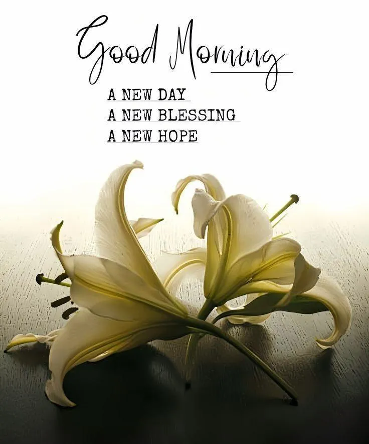 White Lily and Yellow Flower with Good Morning Wishes