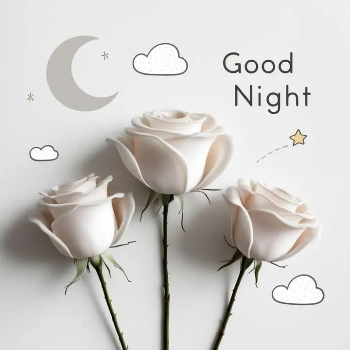 White Rose Flowers with Sweet Good Night Message Image