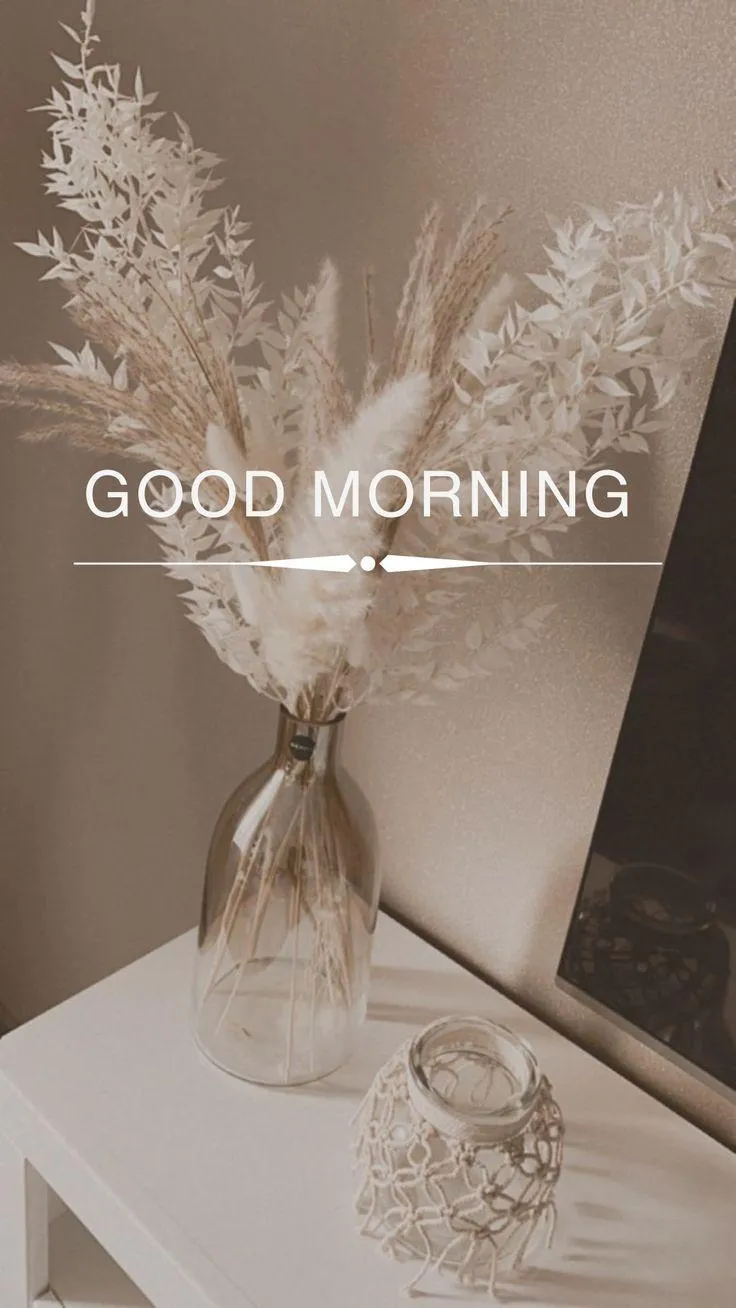 White Rose Quote Reminds You of New Beginnings Daily