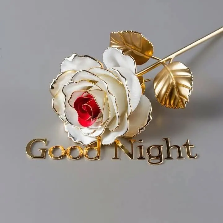 White Rose with Candle for a Serene Good Night Message