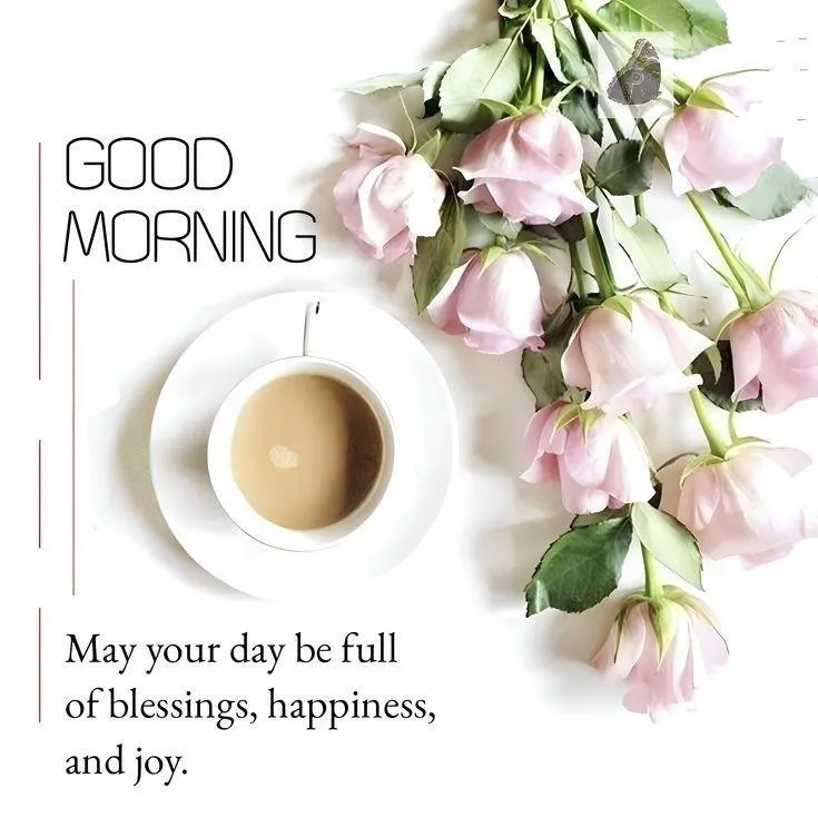 White Roses and Green Leaves for Elegant Morning Wish