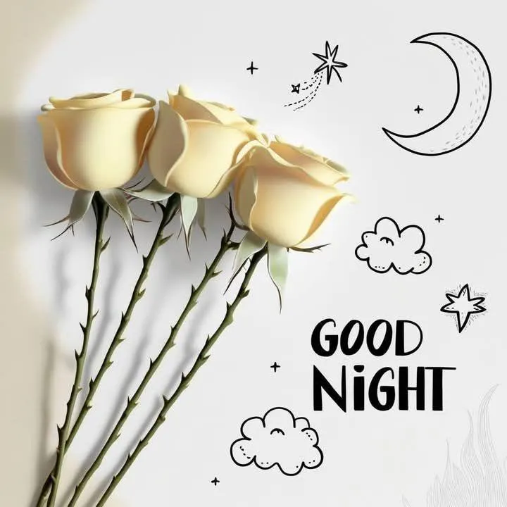 White Roses and Stars for a Gentle Night and Morning