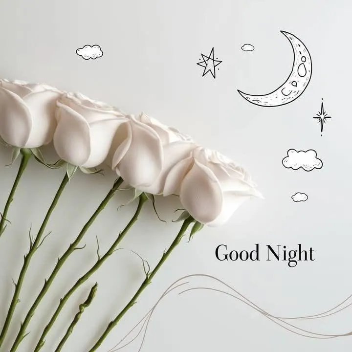 White Roses for a Quiet and Restful Good Night Wallpaper
