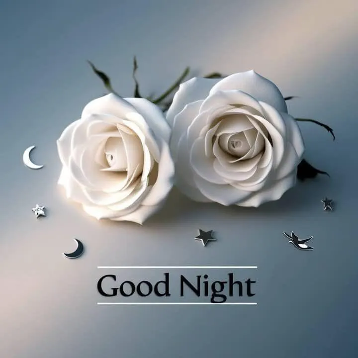 White Roses with Elegant Good Night Message Wallpaper