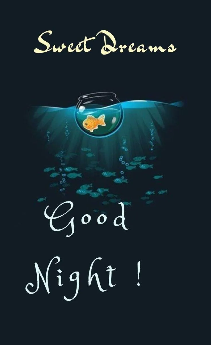 Wishing You a Peaceful Starry Night with Calm Energy