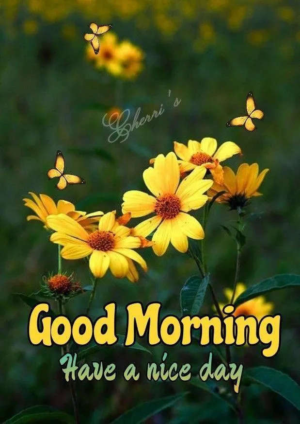 Yellow Flower Good Morning Card to Brighten the Day