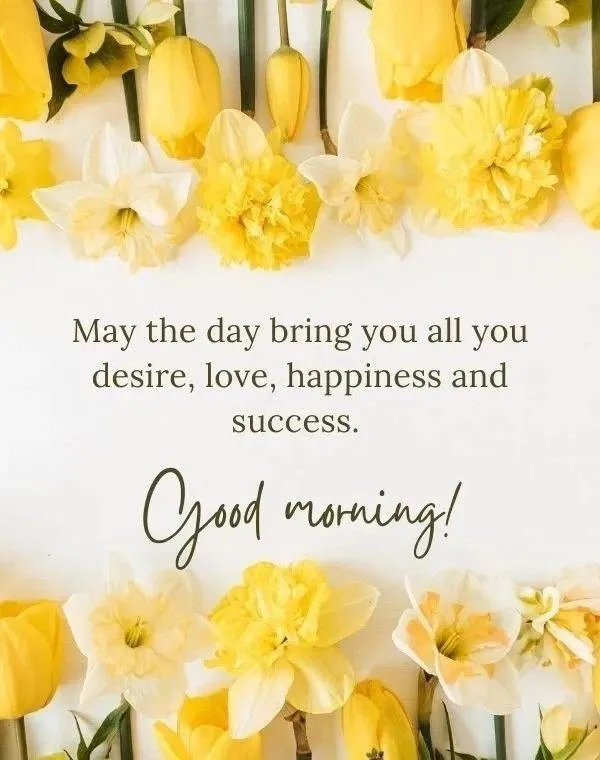 Yellow Flowers and Sunshine to Begin a Happy Morning