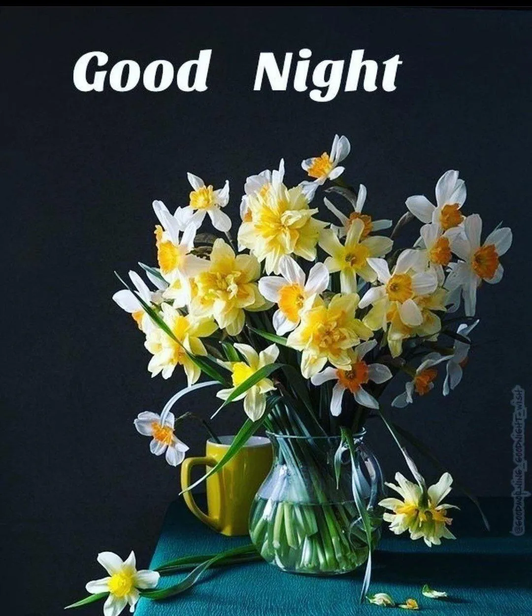 Yellow Flowers with Good Night and Dream Well Wishes