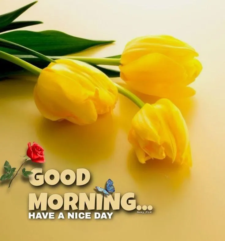 Yellow Flowers with Happy Good Morning Blessings Image