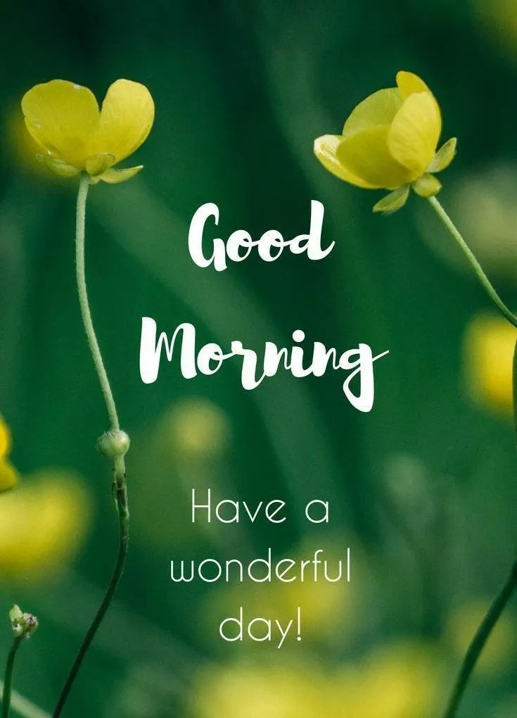Yellow Glow Background with Simple Morning Font Wallpaper