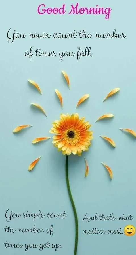 Yellow Sunflower with Sky and Good Morning Positivity