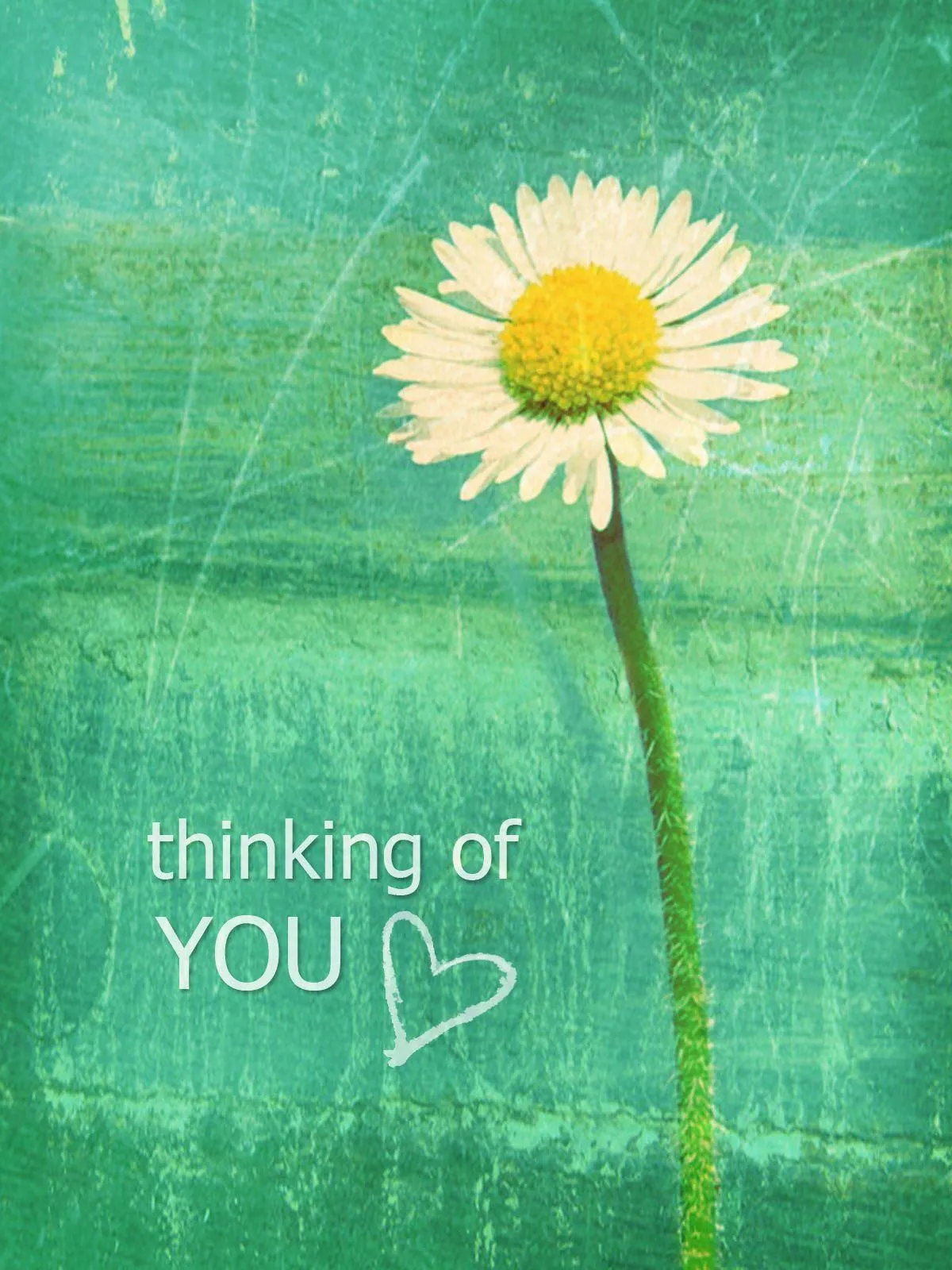 You are Enough Text with Daisy on Green Grass Wallpaper