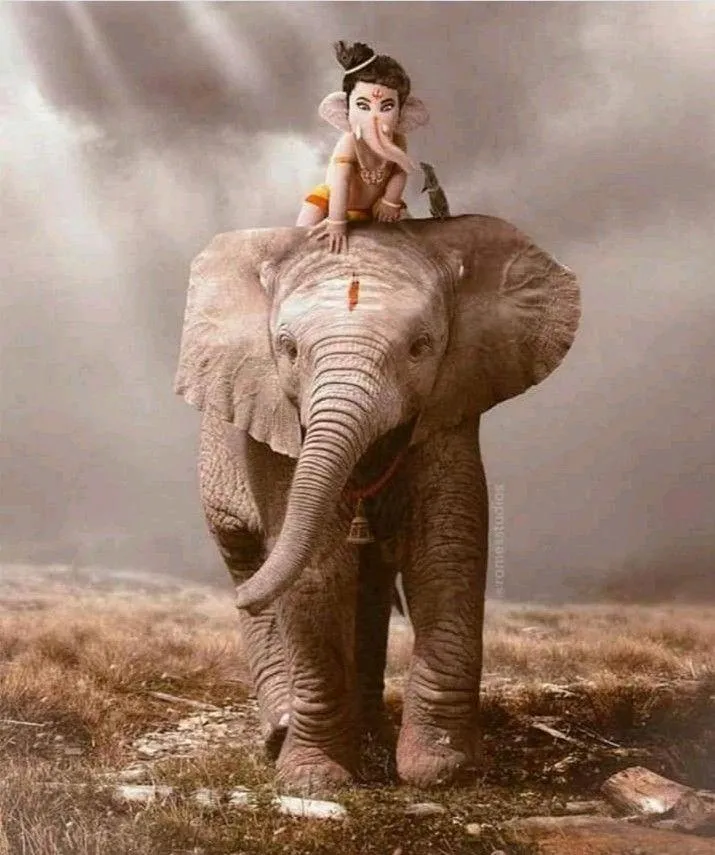 Baby Ganesh Sitting Calmly on Elephant in Open Field Wallpaper