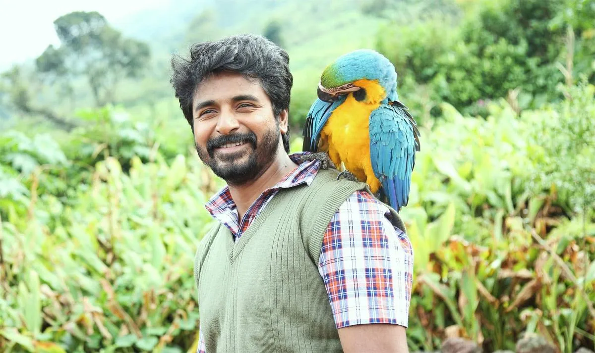 Sivakarthikeyan Smiling with Parrot on Shoulder Wallpaper