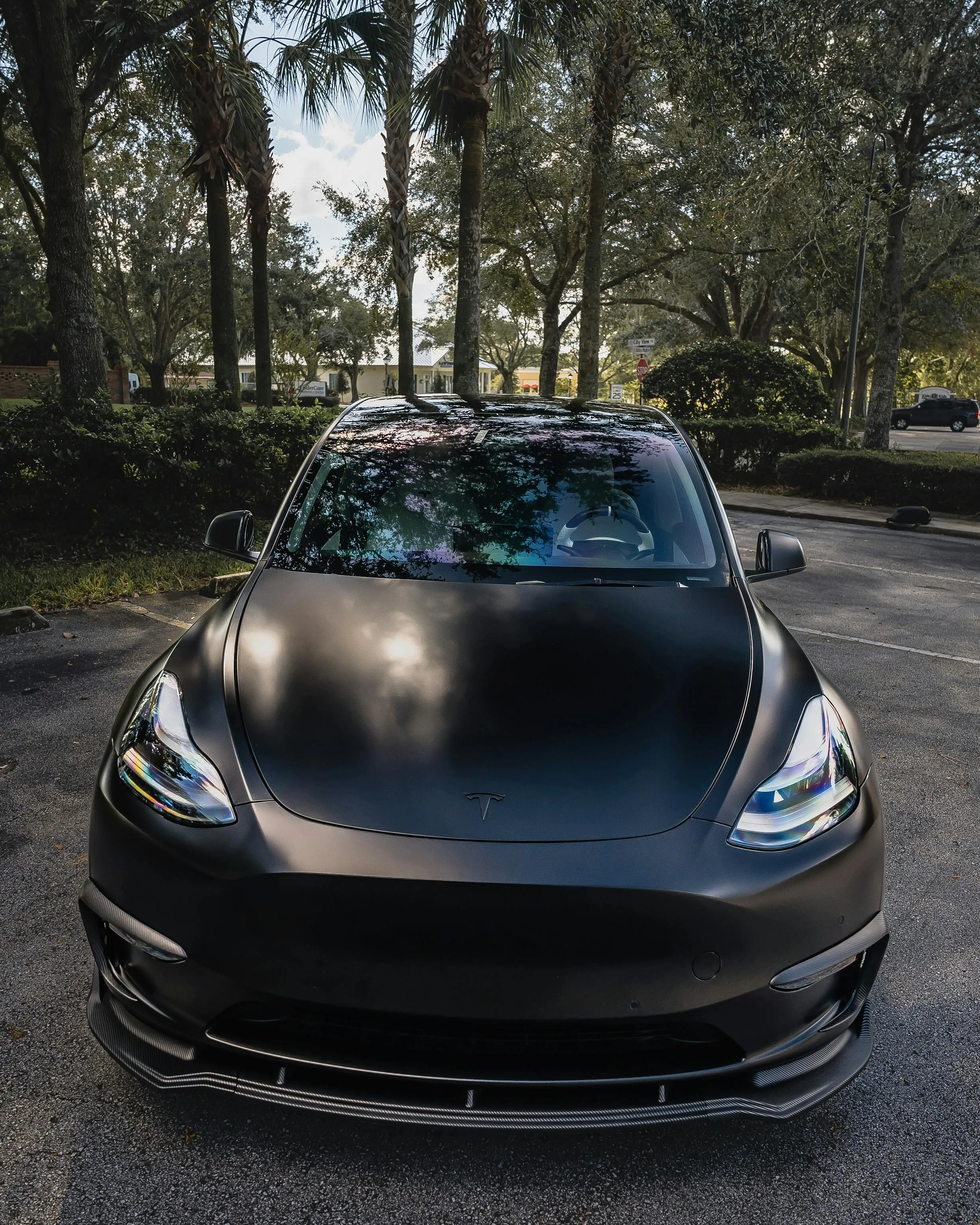 4K Matte Black Tesla Model 3 Parked on Shaded Tree Roadside