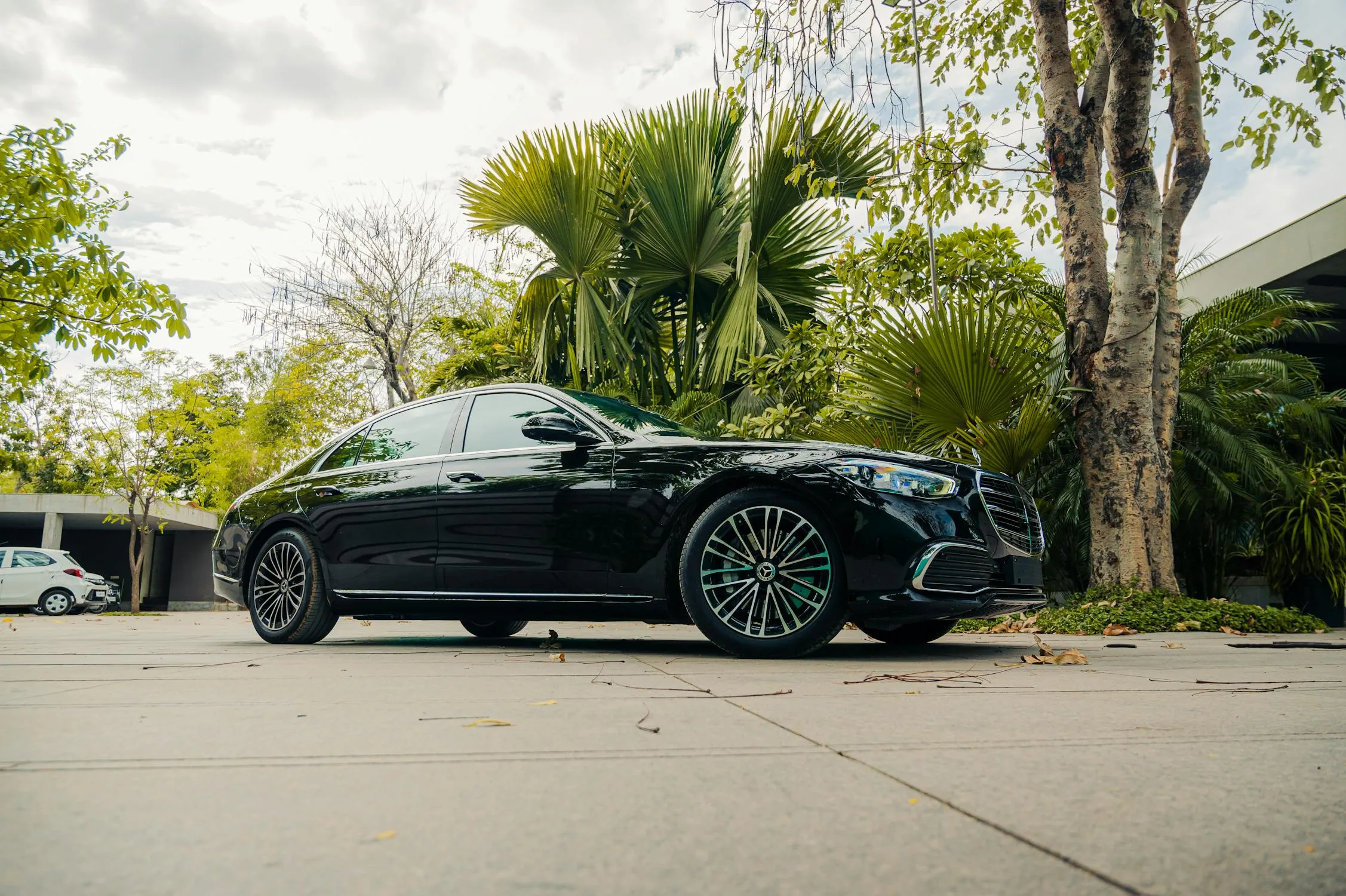 Amazing Black Mercedes Benz Convertible Parked Near Palm Trees