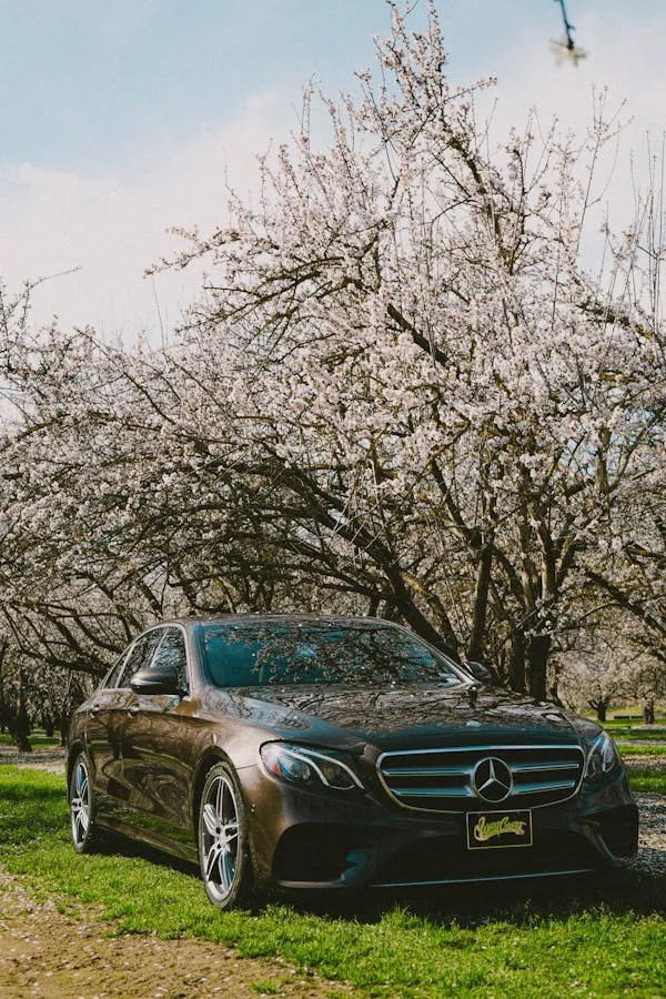 Benz Car Parked Near Blossoming Trees in Open Garden