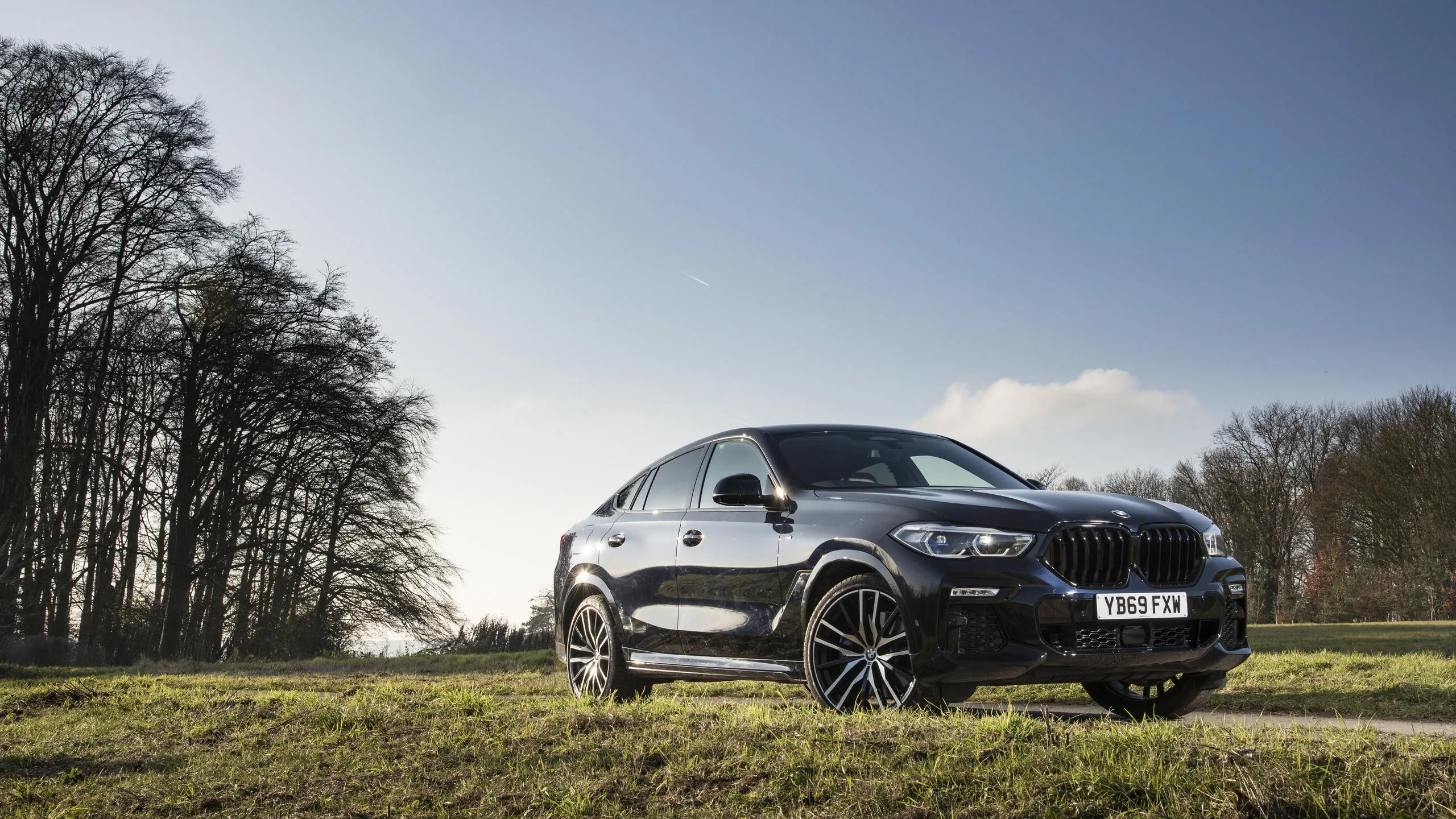Black Bmw Car Parked on Grassy Field with Tree Shadows