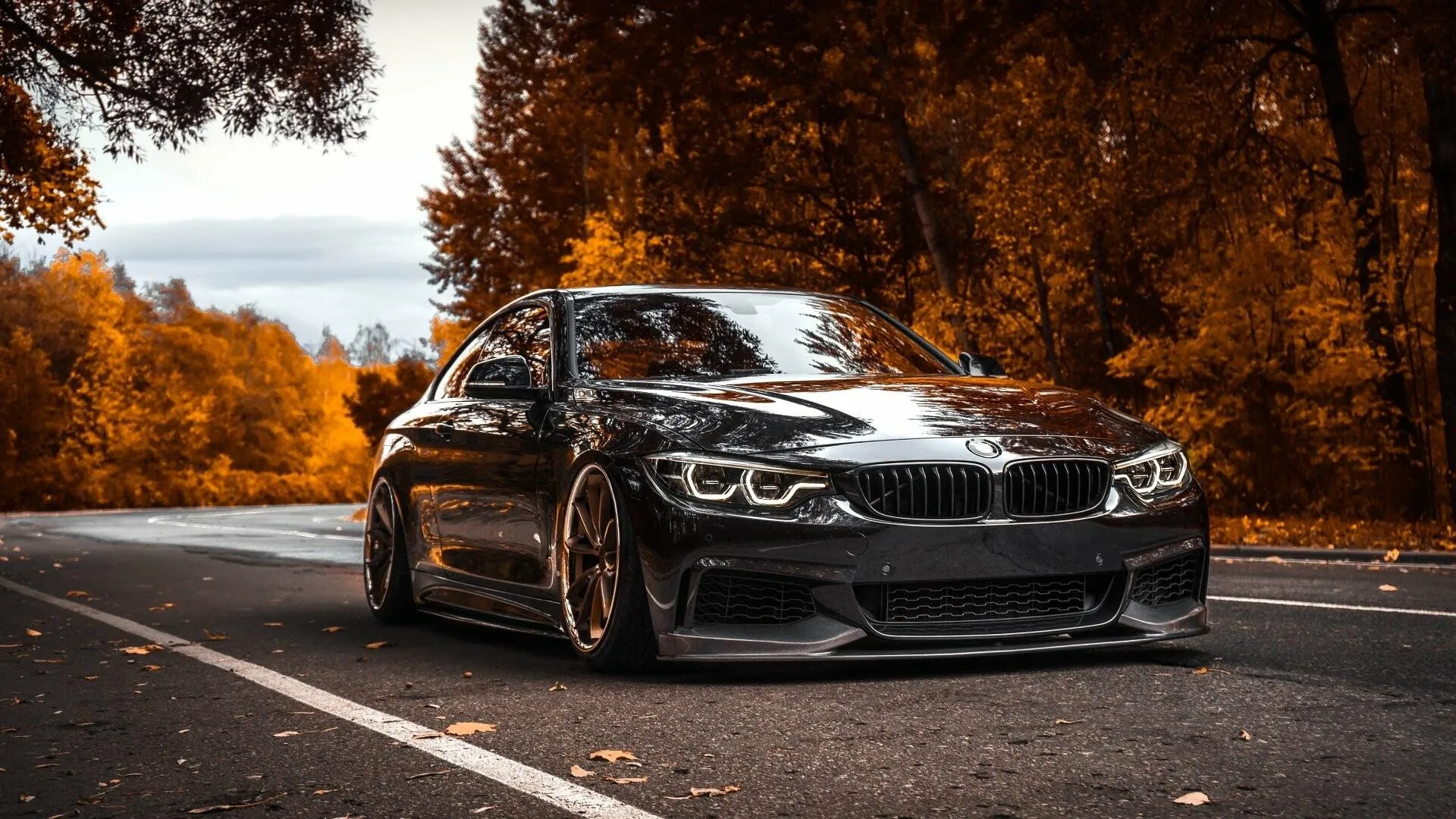 Black Bmw Coupe Parked on Autumn Forest Road Hd Image