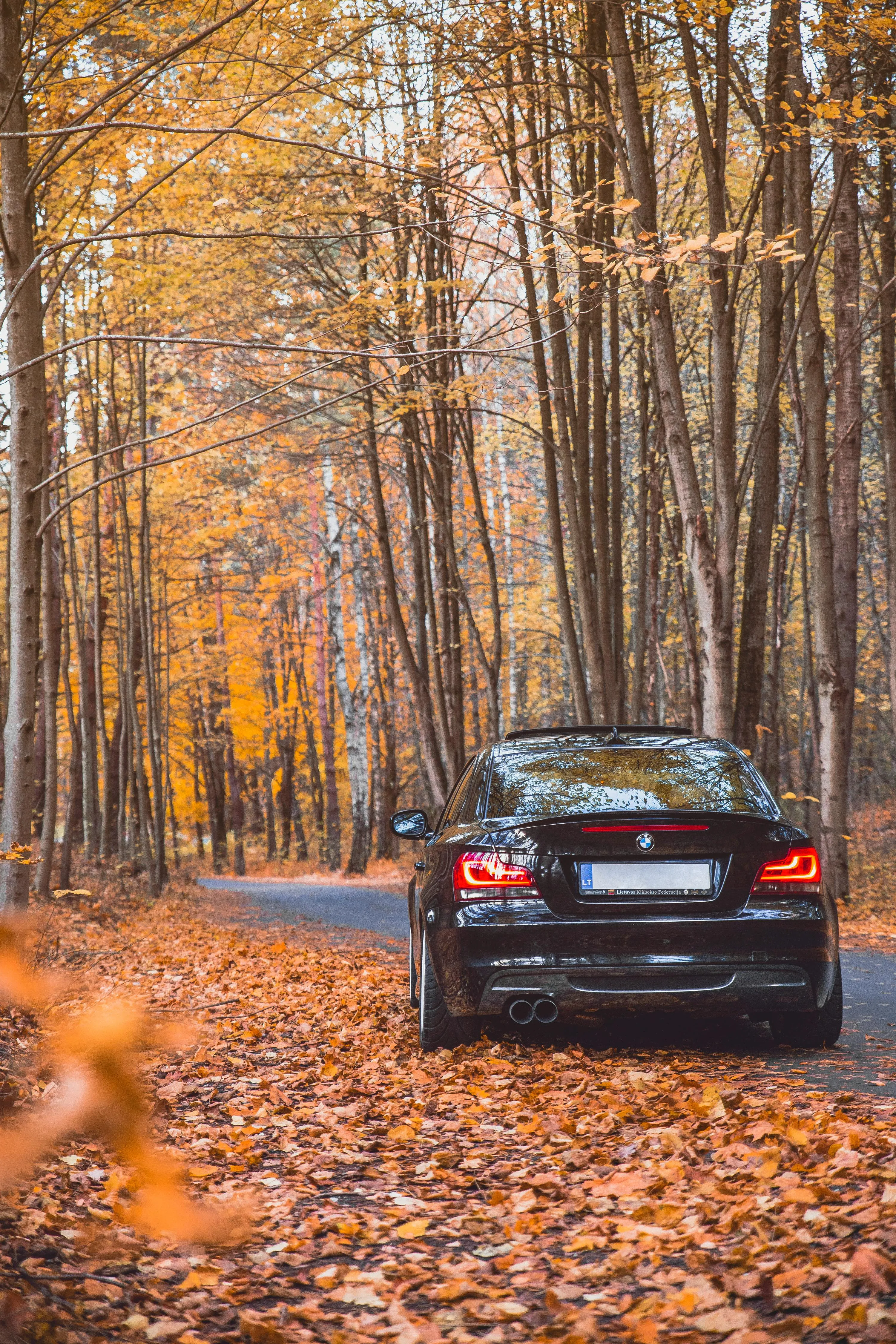 Black Bmw Driving Through a Forest Road in Autumn Season