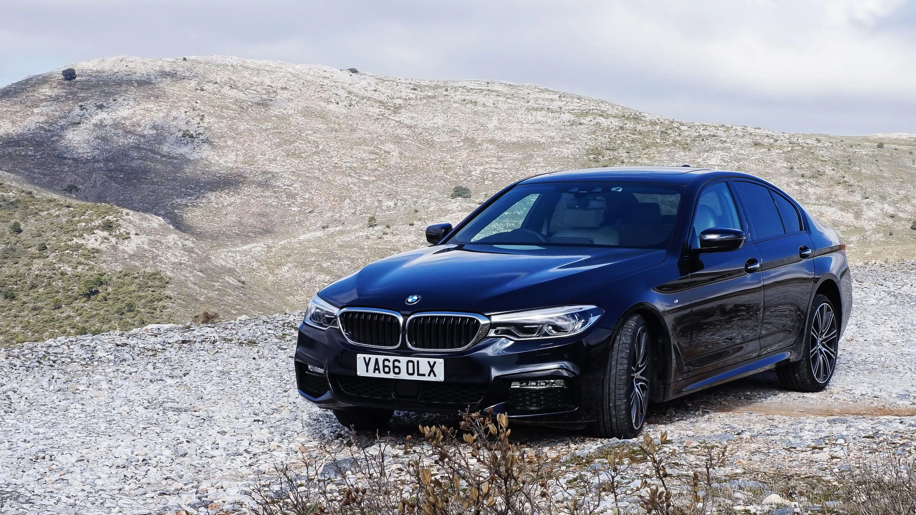Black Bmw Driving Through a Snowy Landscape During Daylight