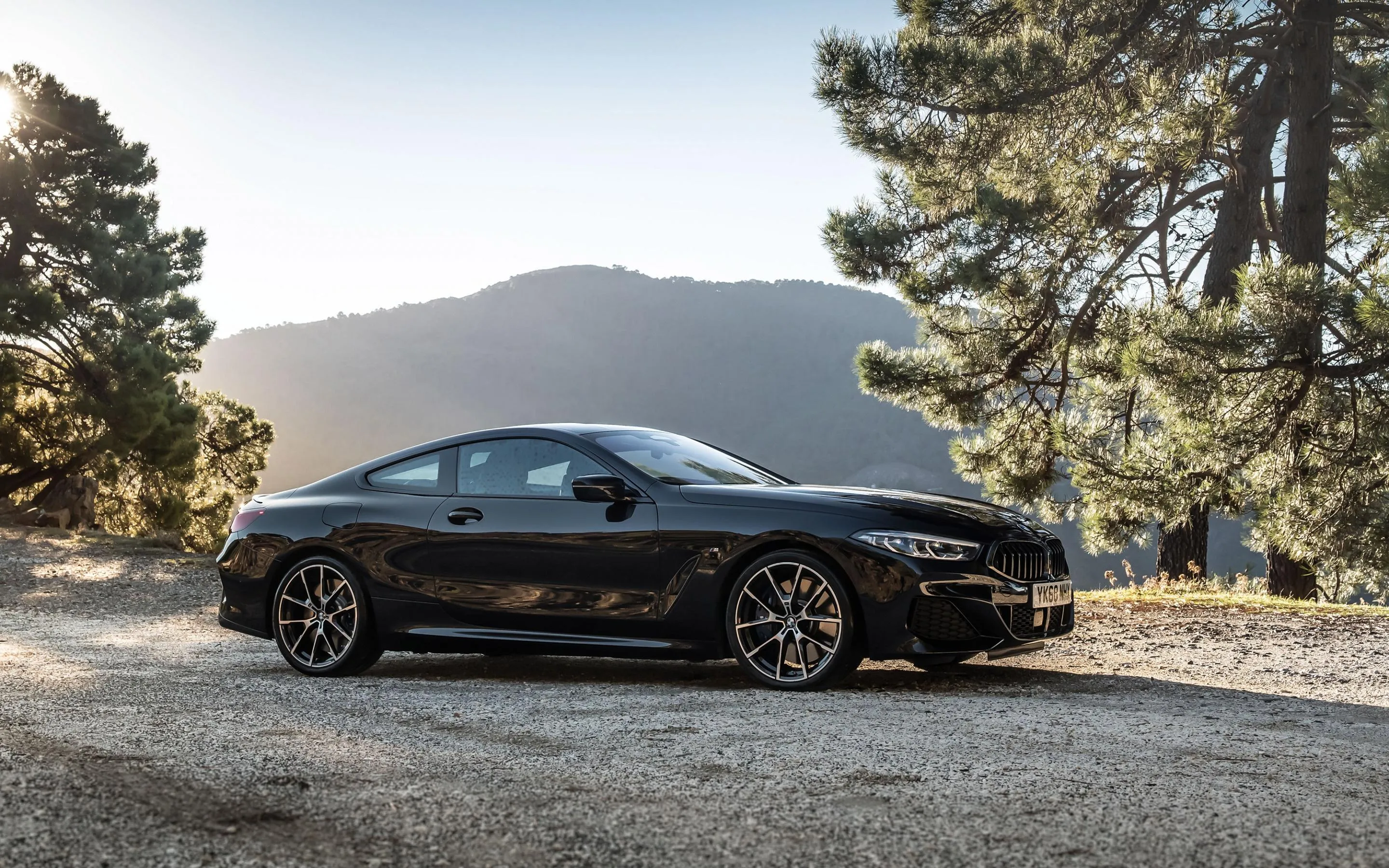 Black Bmw Parked Between Pine Trees Near Mountain Backdrop
