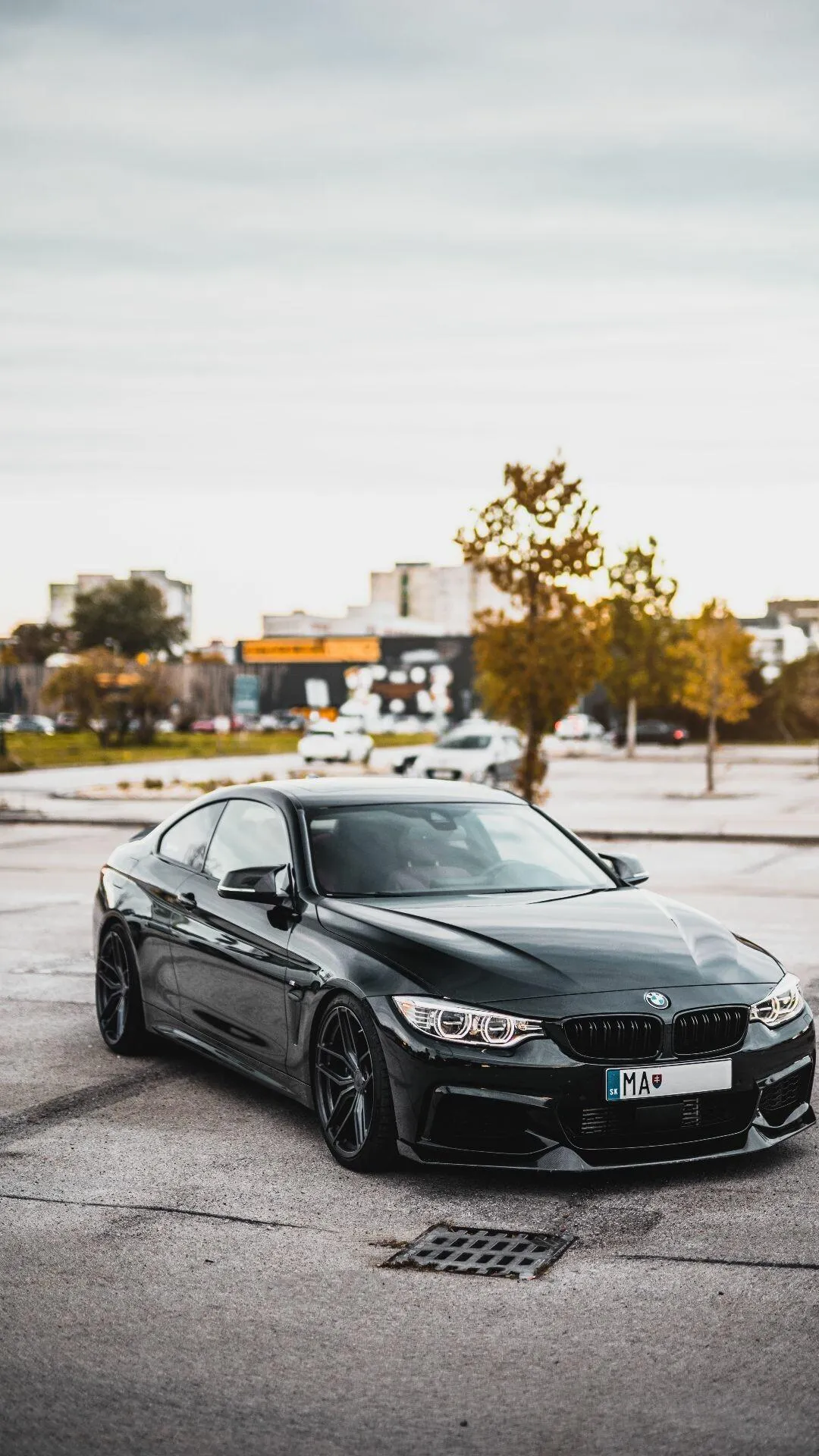 Black Bmw Parked in an Open Lot on a Clear Autumn Day