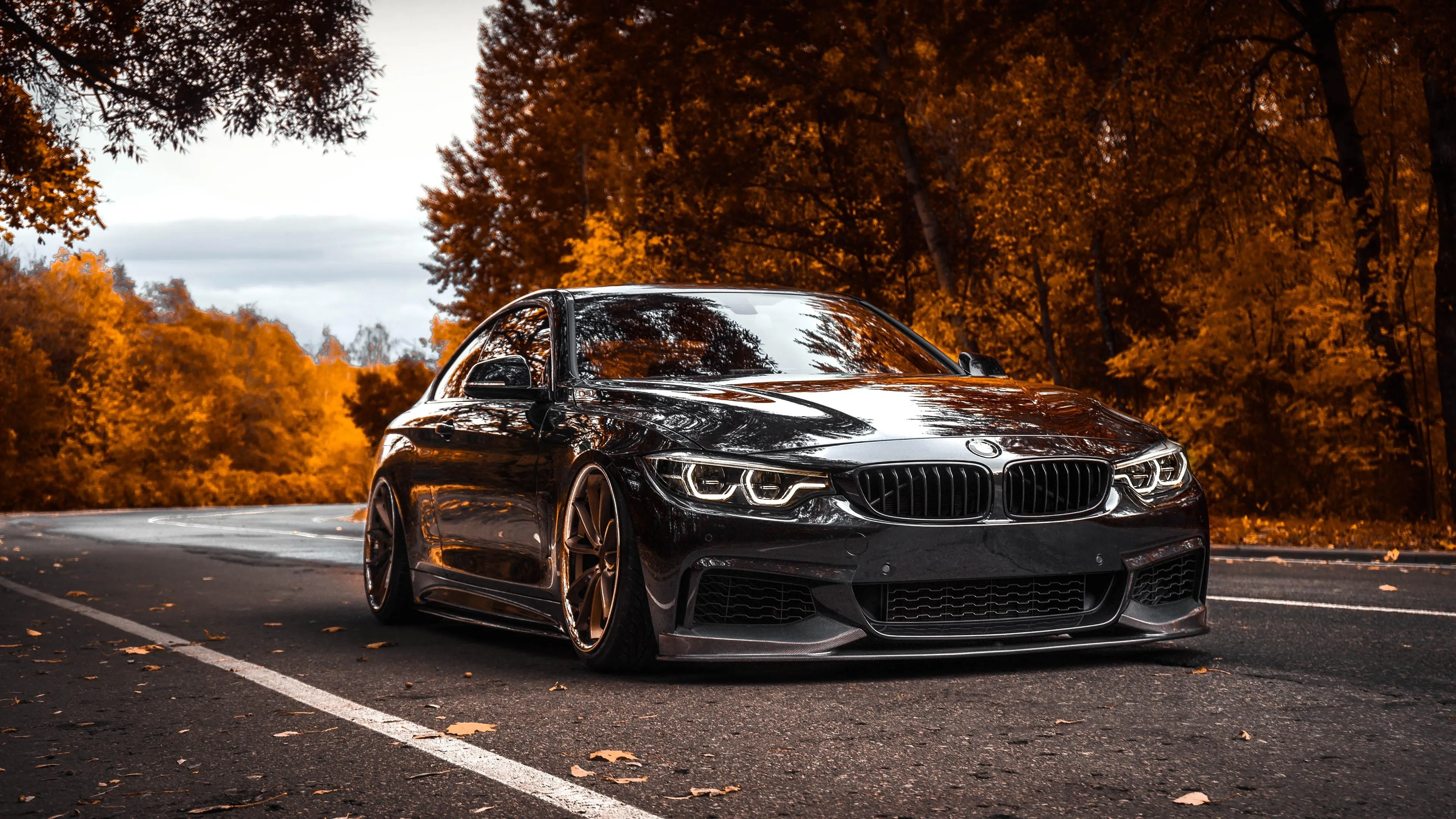 Black Bmw Parked on Forest Road During Autumn with Leaves