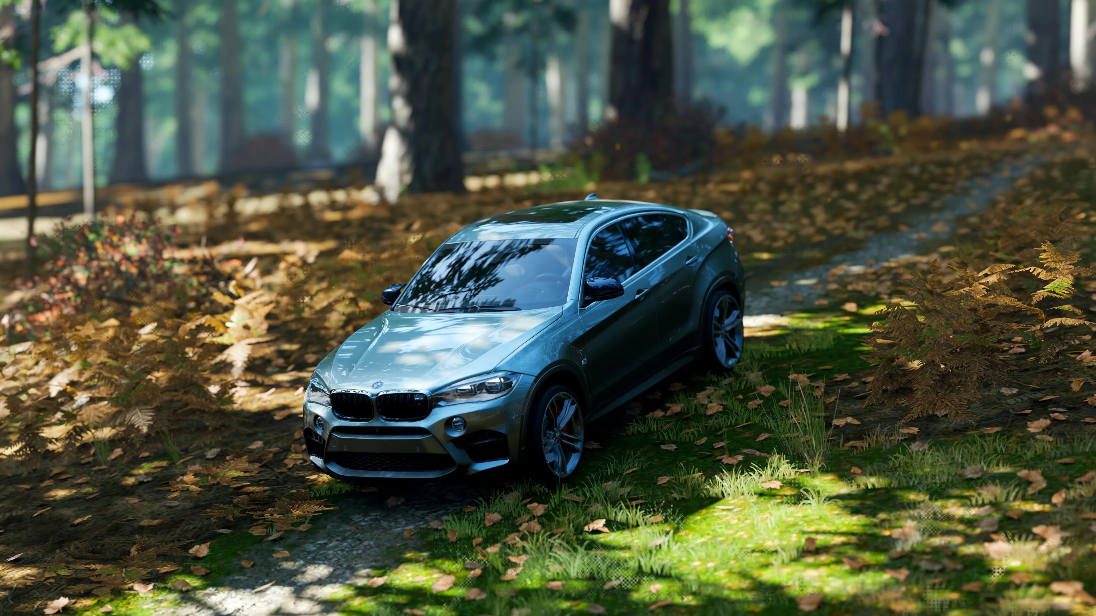 Black Bmw Parked on Forest Trail in Bright Autumn Setting