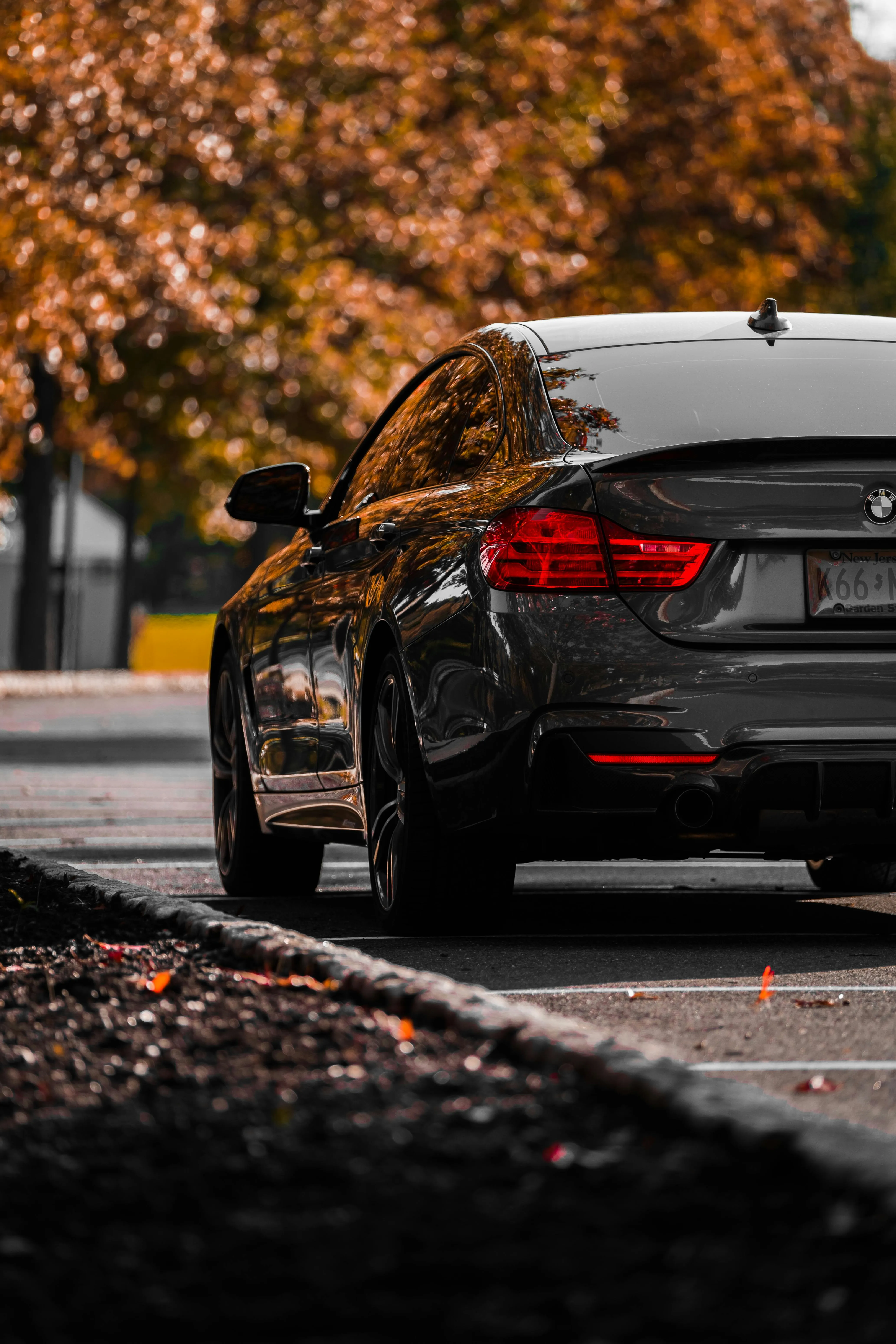 Black Bmw Parked on Leaf Covered Road in Autumn Setting
