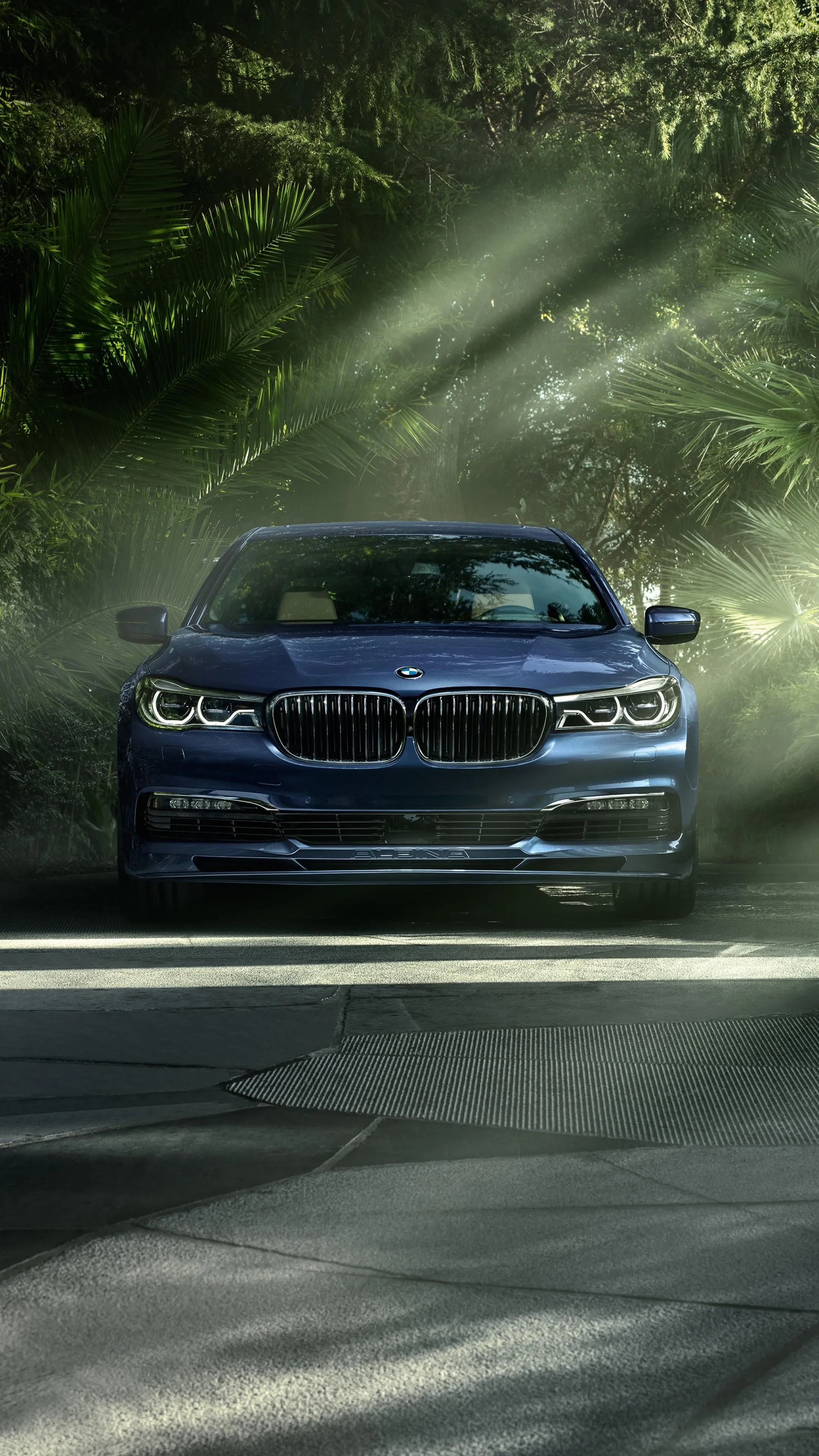 Black Bmw Sedan Emerging From Forest Shadows on Road