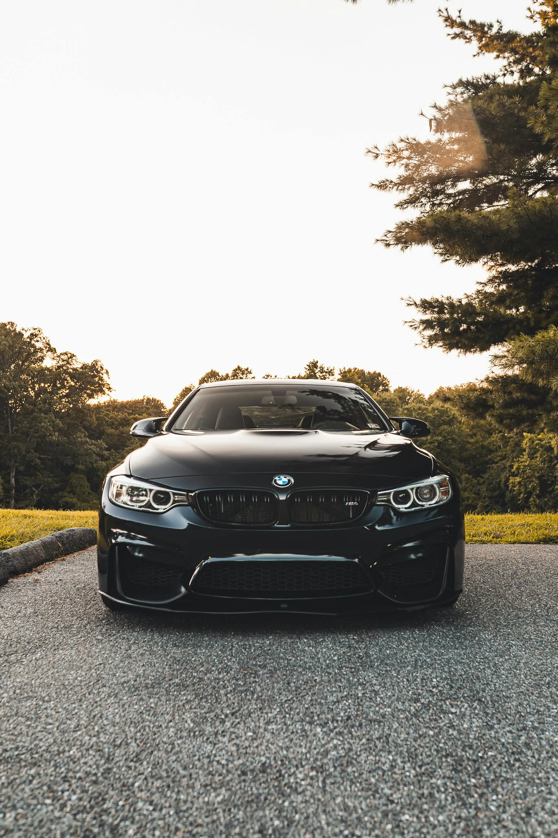 Black Bmw Suv on a Forest Road in Bright Light 4K Image