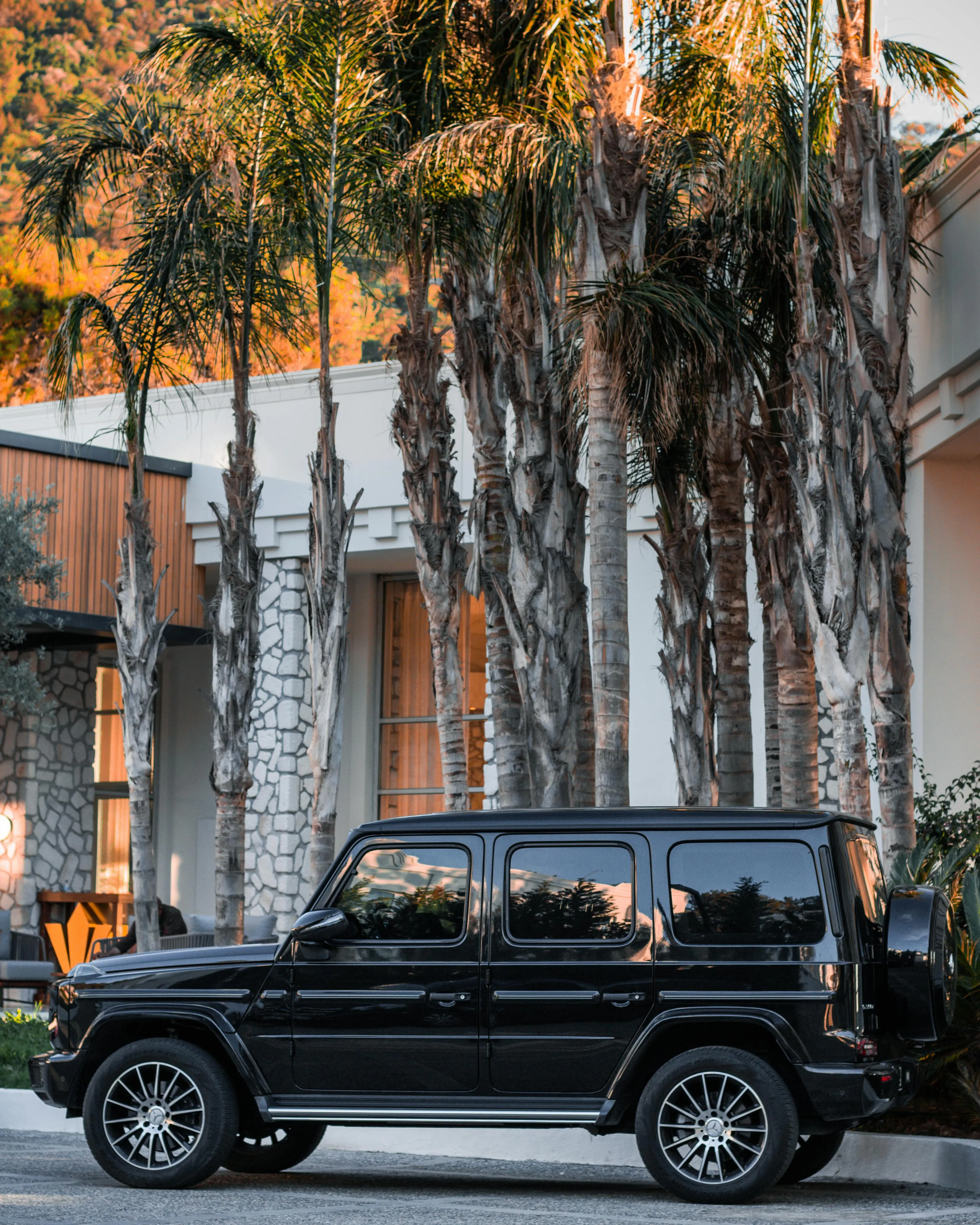 Black Bmw Suv Parked Under Tall Palm Trees By Building
