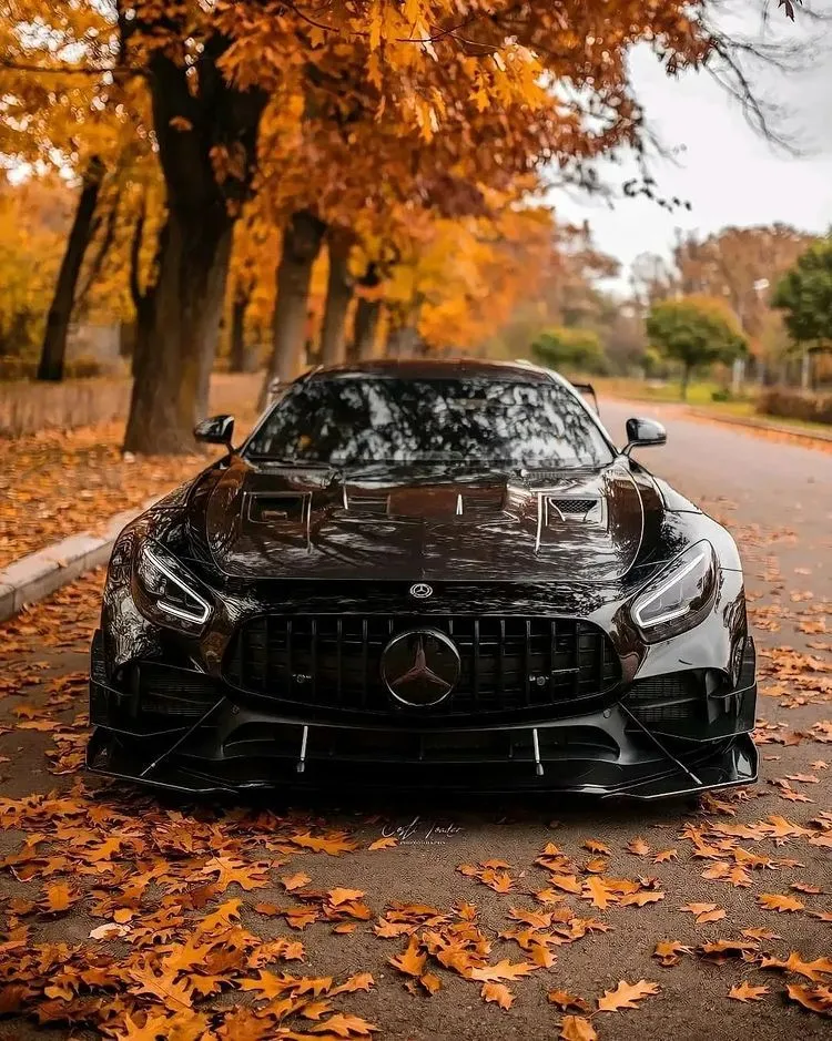 Black Mercedes AMG in Autumn Leaves on Quiet Road Wallpaper